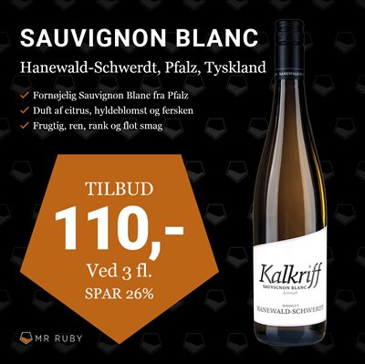 2020 Sauvignon Blanc Kalkriff, Hanewald-Schwerdt, Pfalz